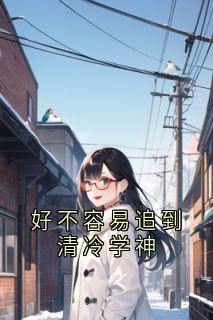 全章节小说好不容易追到清冷学神佚名最新阅读