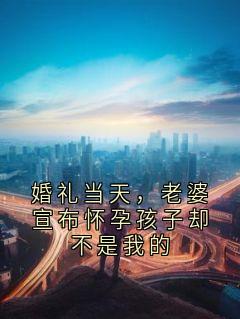 婚礼当天，老婆宣布怀孕孩子却不是我的苏雪燕孟瑶周慕远最新章节在线阅读