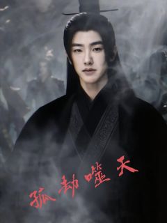 孤劫噬天小说最后结局，顾寒噬天珠百度贴吧小说全文免费