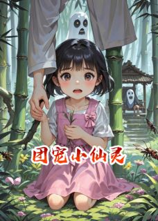 团宠小仙灵苏慕辰灵儿团宠小仙灵全文免费阅读【完整章节】-暗夜阅读网
