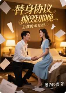 抖音替身协议撕毁那晚，总裁跪求复婚txt小说阅读-暗夜阅读网