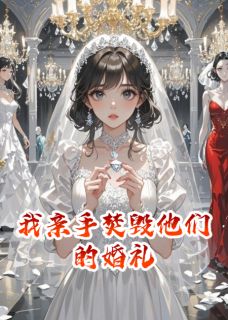 我亲手焚毁他们的婚礼小说(连载文)-陈默苏晚无广告阅读