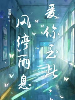 【抖音热推】温南西许昭全文在线阅读-爱你至此，风停雨息全章节目录