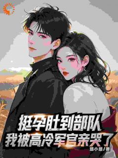 挺孕肚到部队我被高冷军官亲哭了(新书)小说_苏晚陆长风阅读