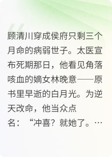 病弱世子今穿古，夫人宠上天知乎后续免费试读-暗夜阅读网