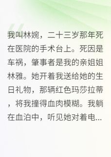 陆景琛林雅江浩然主角的小说完结版二十三岁重生：这次我要主宰一切全集