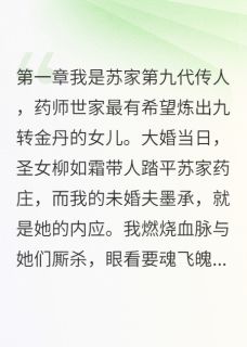 我休夫书昭告三界无广告阅读 墨承柳如霜苏念免费在线阅读