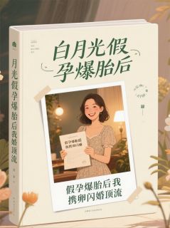 顾晏臣苏冉林薇薇小说全文免费阅读白月光假孕爆胎后我携卵闪婚顶流全文免费阅读