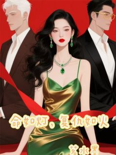 命如灯，复仇如火精彩小说-命如灯，复仇如火目录阅读
