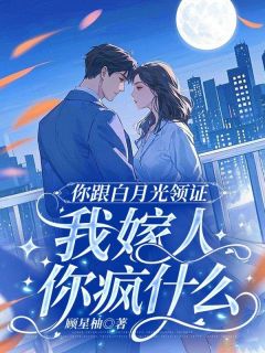 你跟白月光领证，我嫁人你疯什么小说主角是沈岁晚霍砚修顾霆深全文完整版阅读