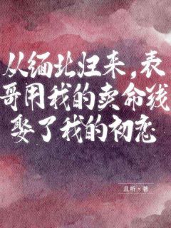 热文从缅北归来，表哥用我的卖命钱娶了我的初恋小说-主角李浩陈江全文在线阅读