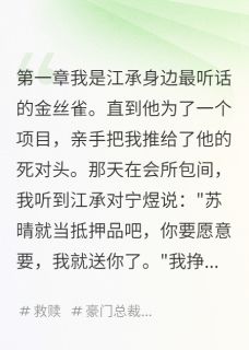 抖音爆款被送人的那晚我怀孕了完整小说（全文阅读）