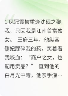 苏晚沈砚之是哪部小说的主角 烬余录：首富皇姐的雨夜修罗场全文无弹窗-暗夜阅读网