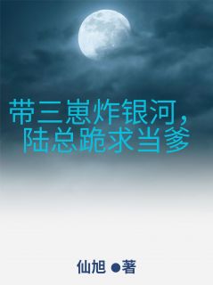 陆时砚江晚星主角小说带三崽炸银河，陆总跪求当爹抖音文免费阅读全文