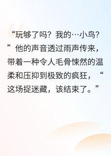 沈砚林晚周勉小说哪里可以看 小说总裁的夜莺出逃计划全文免费阅读