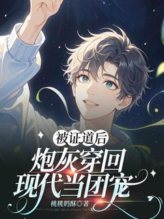 被证道后，炮灰穿回现代当团宠完整版-沈钰景渊在线全文阅读