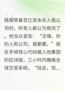 私藏读物代码女王驯服资本巨鳄沈璃陆琛完结版免费阅读
