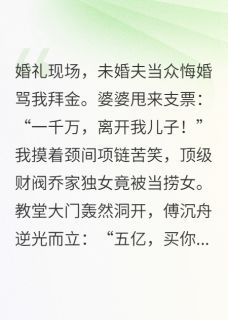 逆光归来：总裁他跪求破镜重圆小说-逆光归来：总裁他跪求破镜重圆抖音小说乔曦傅沉舟-暗夜阅读网
