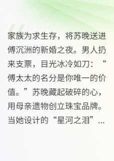 冷婚暖爱：傅总的珠宝女王是什么小说苏晚傅沉洲全本免费阅读-暗夜阅读网