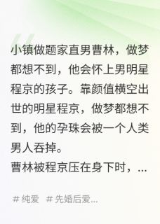 直男误吞龙珠孕珠曹林程京全章节在线阅读