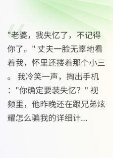 丈夫编失忆谎言，小三怀别人孩子（全本）方正宇小雅沈墨完整章节列表免费阅读-暗夜阅读网
