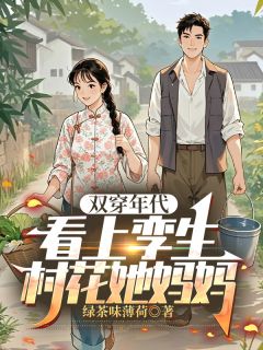双穿年代，看上孪生村花她妈妈陈铭沈梦玉全章节目录免费阅读