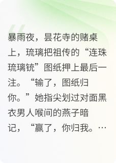 爆款小说由作者言语忧所创作的连珠琉璃铳在线阅读
