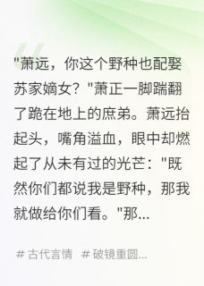 庶子之怒，天地色变小说(完结)-萧远苏婉儿无删减阅读