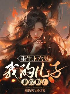 赚钱买飞机写的小说重生十六岁，我的儿子谁敢欺？宋琦玉周砚卿全文阅读