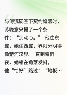 春日戒苏晚意傅沉砚小说_春日戒完结版阅读
