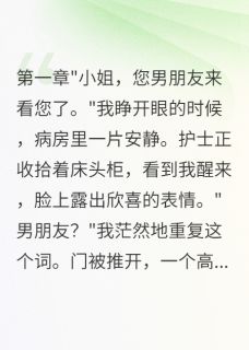 忘了你，记住爱章节全目录 沈时深江城晚晚全文免费阅读