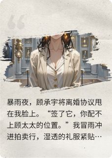 苏晚陆沉舟小说(离婚夜，大佬递伞又递婚戒)_苏晚陆沉舟小说最新章节
