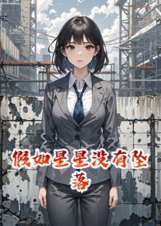 假如星星没有坠落小说(完结版)-苏念陆屿深秦风在线阅读