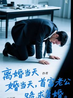 完整版离婚当天，首富老公跪求我复婚林潇顾琛苏薇薇小说免费在线阅读-暗夜阅读网