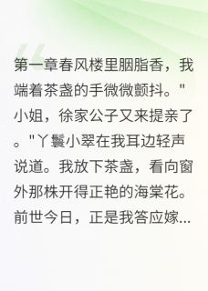 抖音边关昏迷的将军醒了txt小说阅读