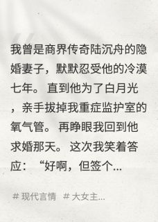 重生后我让丈夫和白月光锁死大结局阅读 陆沉舟顾衍小说在线章节-暗夜阅读网