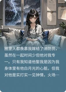 阮颜江澜陆思安全本小说 夏之全文免费在线阅读