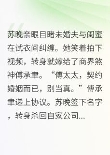 爆款小说被渣后我成了霸总契约妻在线阅读-苏晚傅承聿林浩轩免费阅读