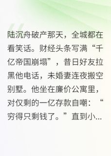 霸总破产，只剩下一个亿了小说陆沉舟林晚免费阅读