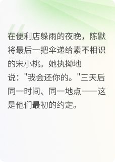 宋小桃陈默完整版伞知道答案全文最新阅读