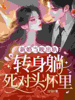 沈嘉禾贺淮深完整版新婚当晚出轨？转身躺死对头怀里全文最新阅读