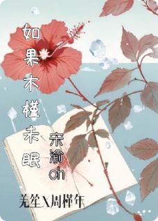 高质量小说如果木槿未眠在线试读