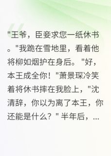 萧景琛柳如烟主角的小说完结版休书到手，摄政王疯了全集-暗夜阅读网