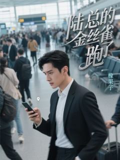 爆款小说由作者橡果子所创作的陆总的金丝雀跑了在线阅读