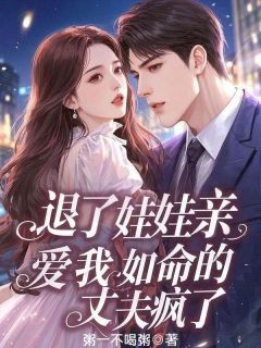 抖音小说退了娃娃亲，爱我如命的丈夫疯了乔言心季淮书全文txt-暗夜阅读网