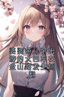 婆婆带儿子出游的大巴车在盘山路发生侧翻无弹窗在线阅读