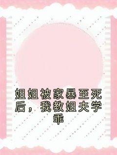 姐姐被家暴至死后，我教姐夫学乖小说百度云完整章节列表免费阅读