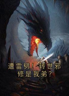 （全集-免费）遭雷劈！转世邪修是我弟？完本小说_沐风华沐之余全文免费阅读