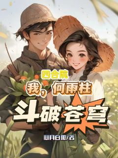四合院：我，何雨柱，斗破苍穹免费阅读全文，主角何雨柱傻柱易中海小说