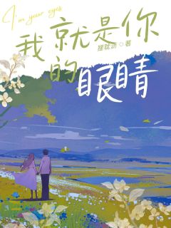 我就是你的眼睛大结局阅读 念念文婉欧阳小说在线章节